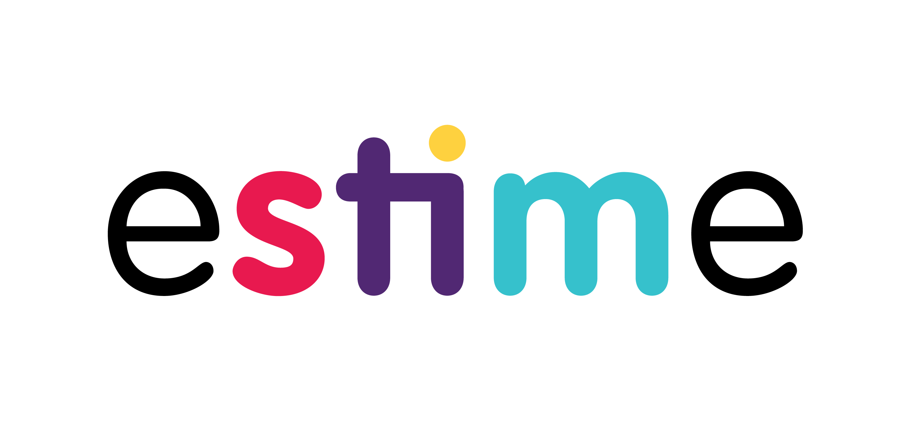 Estime logo